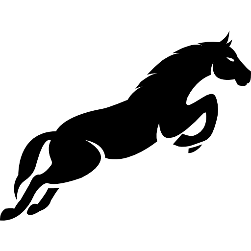 Jumping black horse side